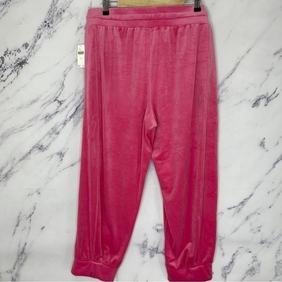Anthropologie | Saturday/Sunday | Merida Velvet Joggers | Sz XL - Picture 9 of 12